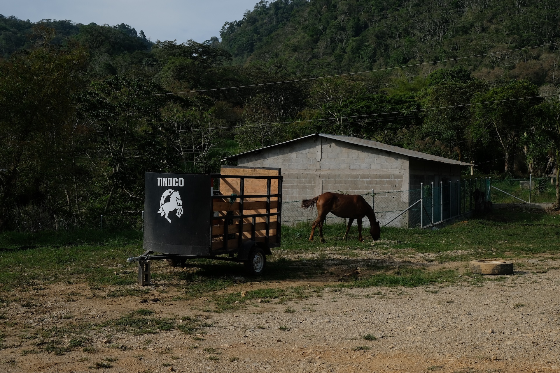 Honduras_Mauricio